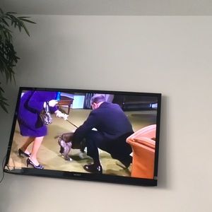 Meet your Posher, Barbara